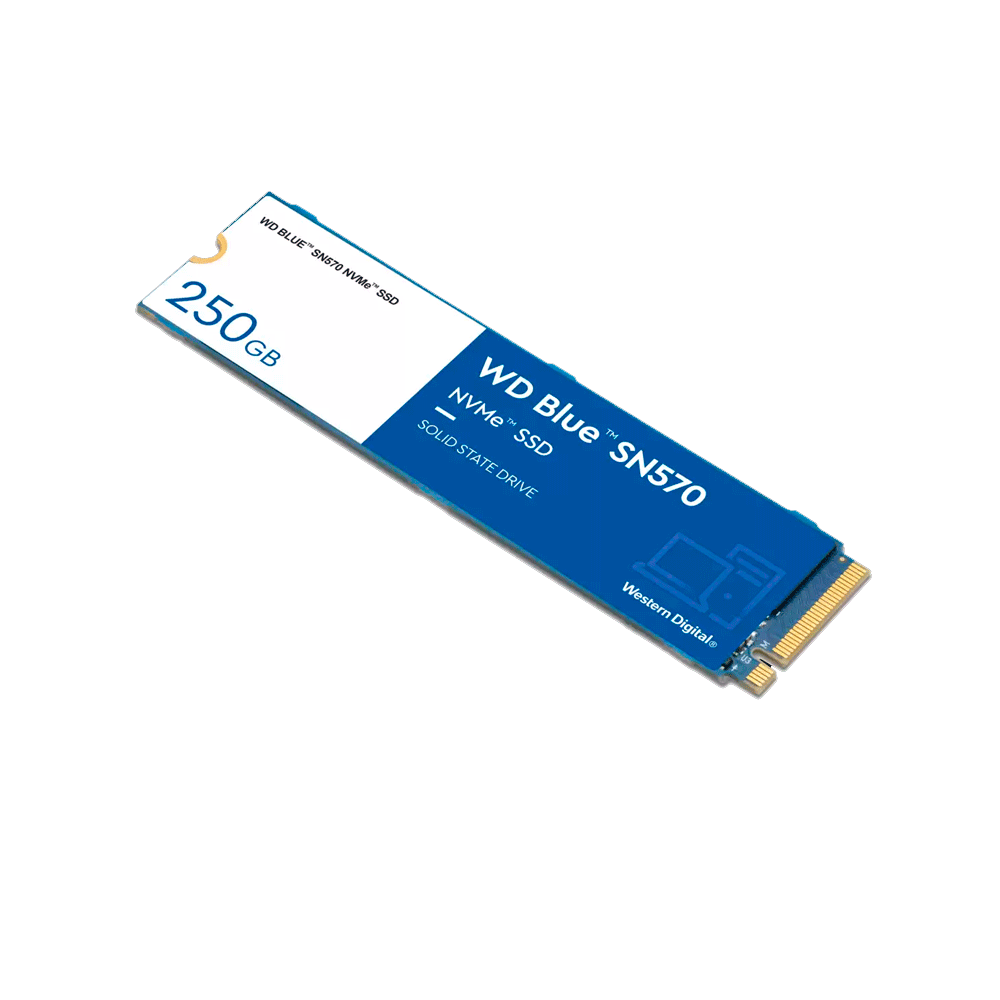 内蔵型SSD WD Blue SN570 NVMe WDS100T3B0C Amazon | Western Digital ウエスタンデジタル 内蔵SSD 1TB WD