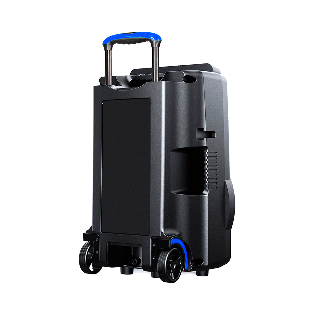 syun Caixa Amplificada Multilaser Sunny SP396, Potência de 800W Bivolt